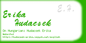 erika hudacsek business card